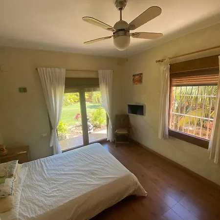 Nyaraló House Near Conil With A Tropical Garden And Pool