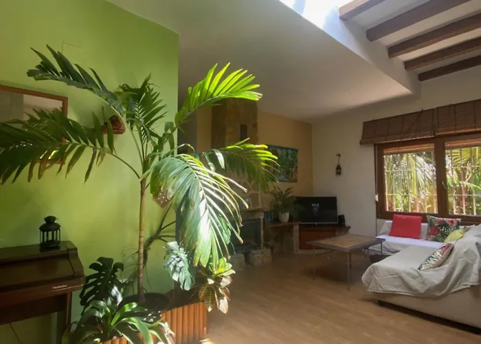 Prázdninový dům House Near Conil With A Tropical Garden And Pool