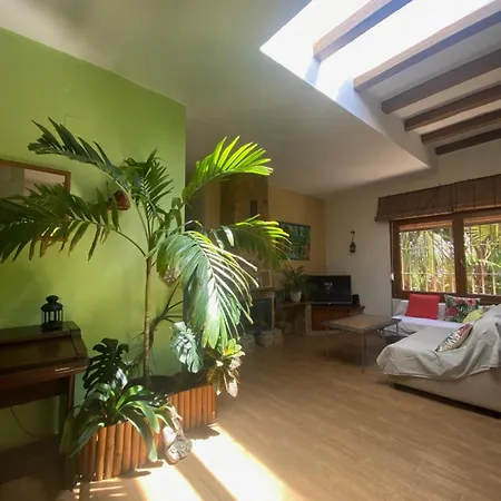 Vakantiehuis House Near Conil With A Tropical Garden And Pool