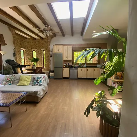 House Near Conil With A Tropical Garden And Pool