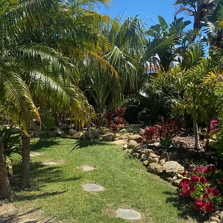 Vakantiehuis House Near Conil With A Tropical Garden And Pool *