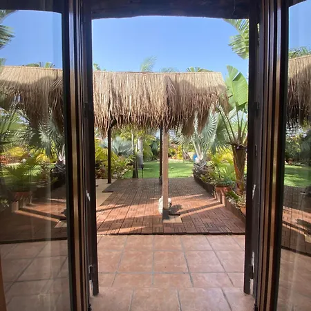 Vakantiehuis House Near Conil With A Tropical Garden And Pool *