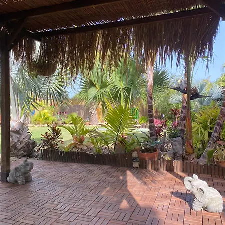 בית נופש House Near Conil With A Tropical Garden And Pool