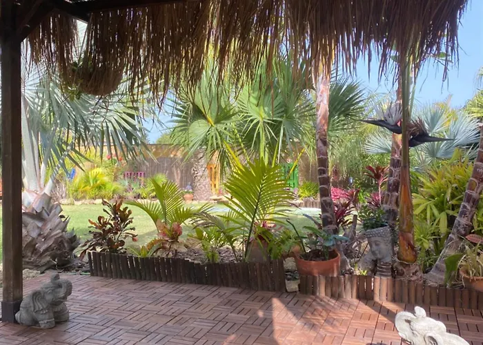 Будинок відпочинку House Near Conil With A Tropical Garden And Pool